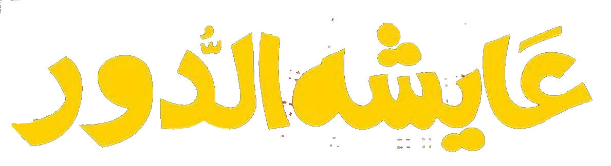 مسلسل عايشة الدور – الحلقة 13 الثالثة عشر