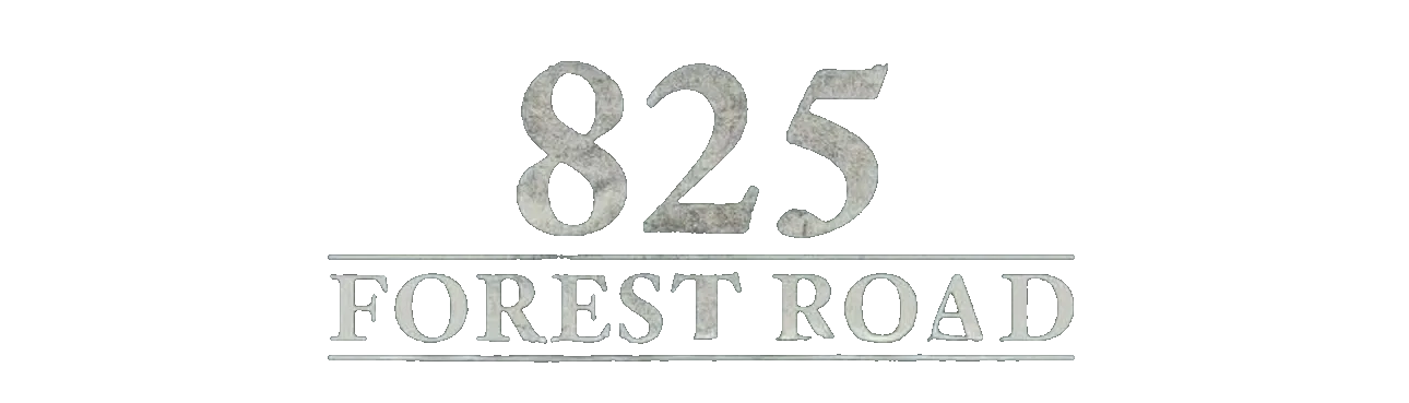 فيلم 825 Forest Road 2025 مترجم